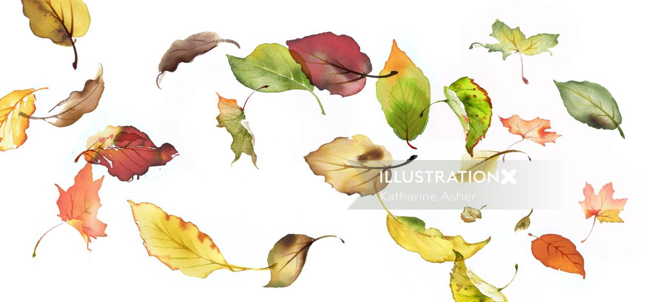 Ilustración del catálogo de hojas otoñales caídas