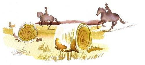 Homem andando a cavalo Ilustração por Katharine Asher