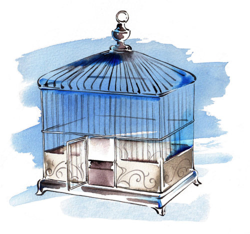 Watercolour painting of bird cage for oxford university press
