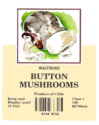 Rótulos de cogumelos de botão de embalagem
