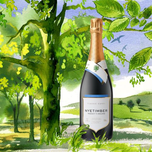 Nyetimbers fine sparkling white wines drink illustration