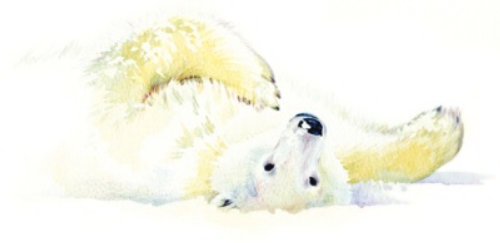 Illustration of Polar Bear Christmas Card 