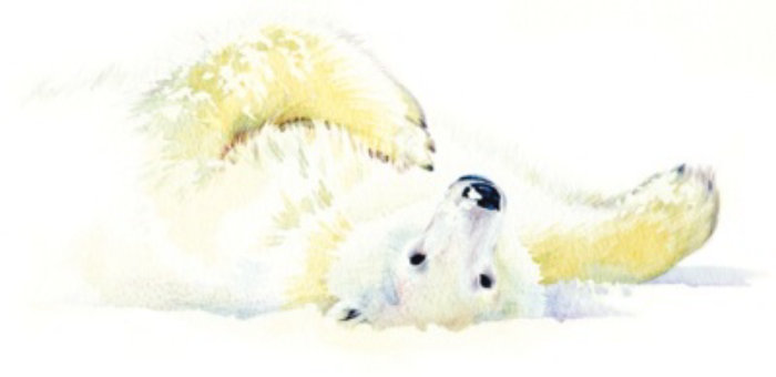 Illustration of Polar Bear Christmas Card 