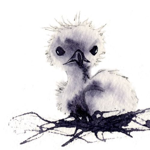 Little bird illustration Katherine Asher