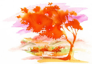 キャサリン・アッシャーによる自然風景画のイラスト