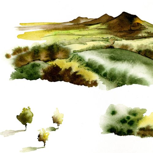 Scenic for McClellands Whisky merchandising - Illustration by Katharine Asher