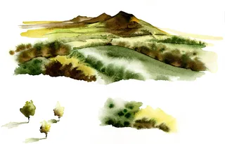 Scenic for McClellands Whisky merchandising - Illustration by Katharine Asher