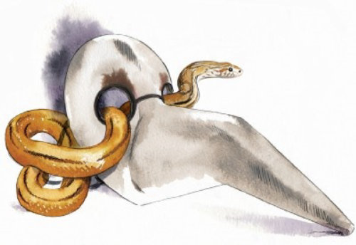 Ilustração de cobra e skelton por Katharine Asher