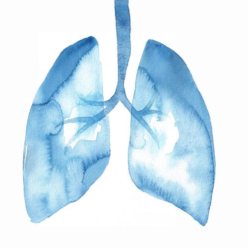 Lungs Illustration | Medical illustration collection