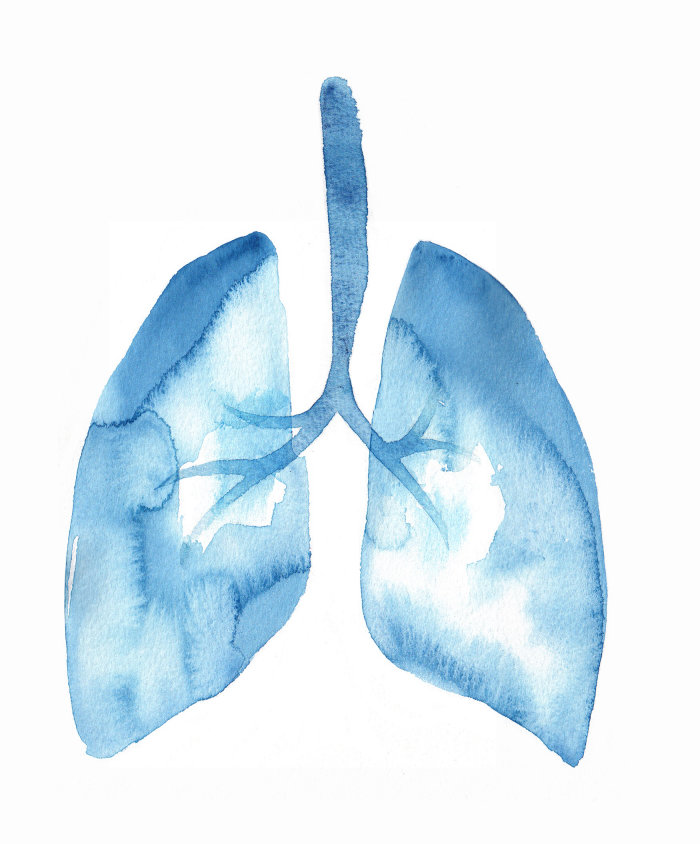 Illustration des poumons | Collection d&#39;illustration médicale