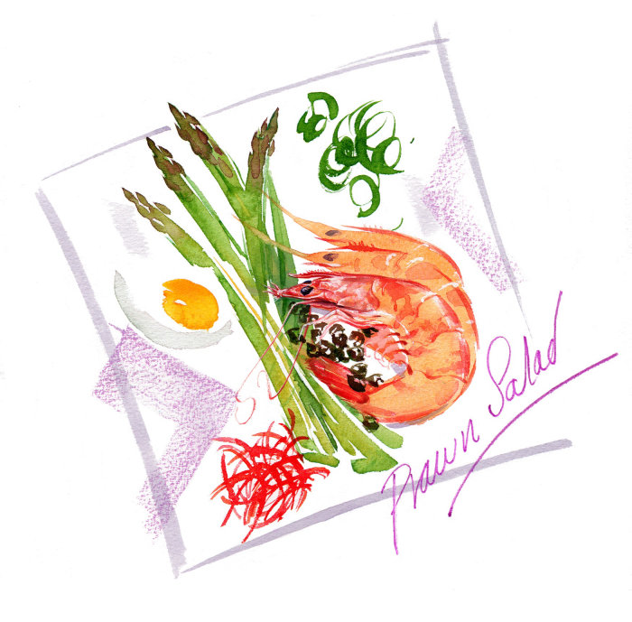 editorial watercolour drawing of prawn salad
