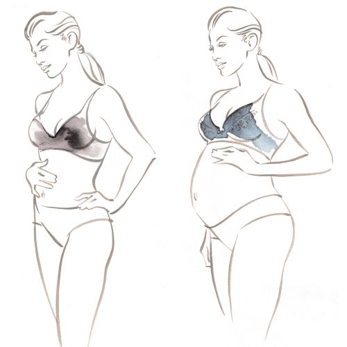 Amoralia  pregnancy underwear  Katharine Asher