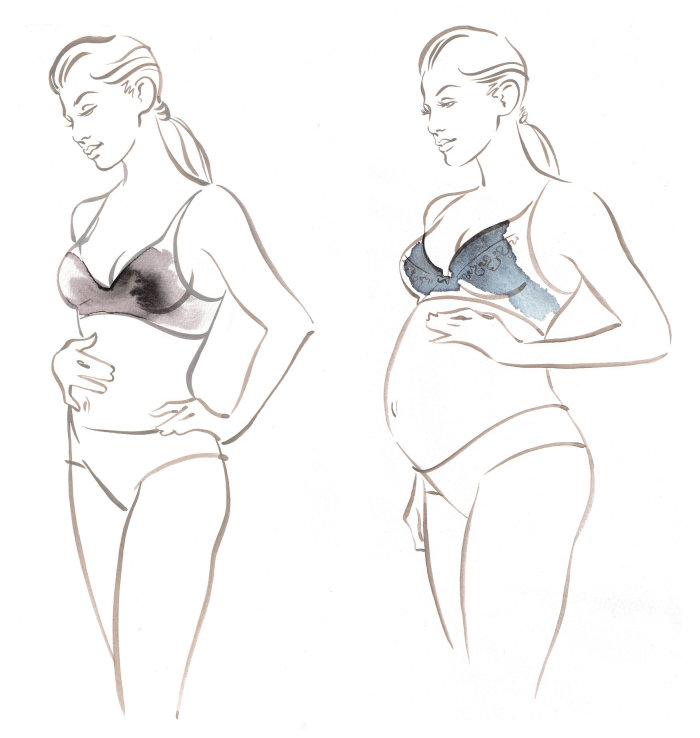 Amoralia  pregnancy underwear  Katharine Asher