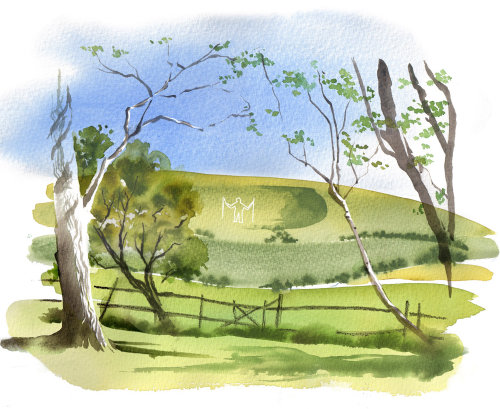 Ilustração das colinas do sul por Katharine Asher