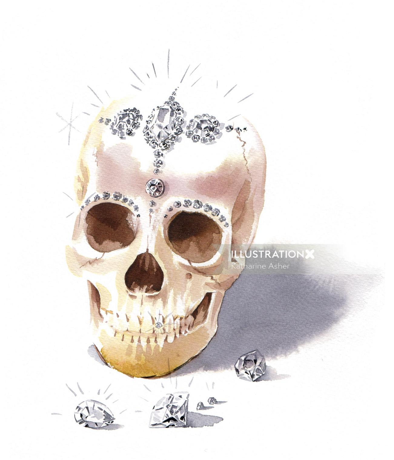 Une illustration du crâne