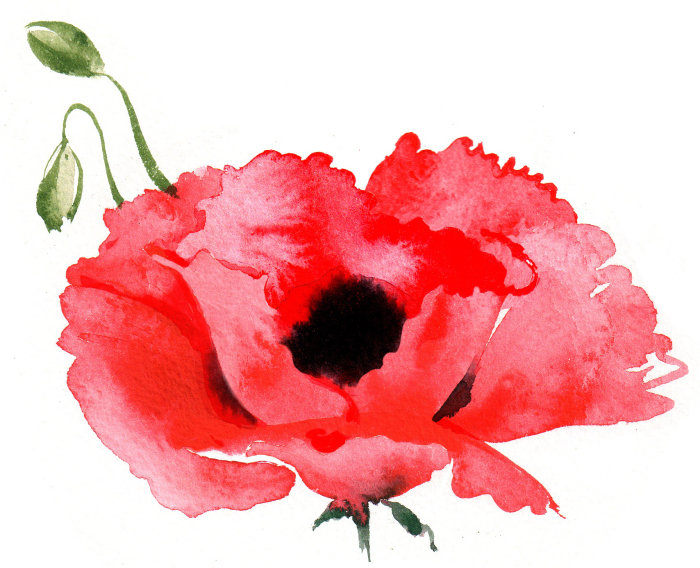 Illustration of REMEMBRANCE DAY STAMPS Jersey Post 2014 by Katharine Asher