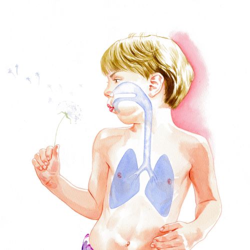 Katharine Asher Medical Illustrator from UK