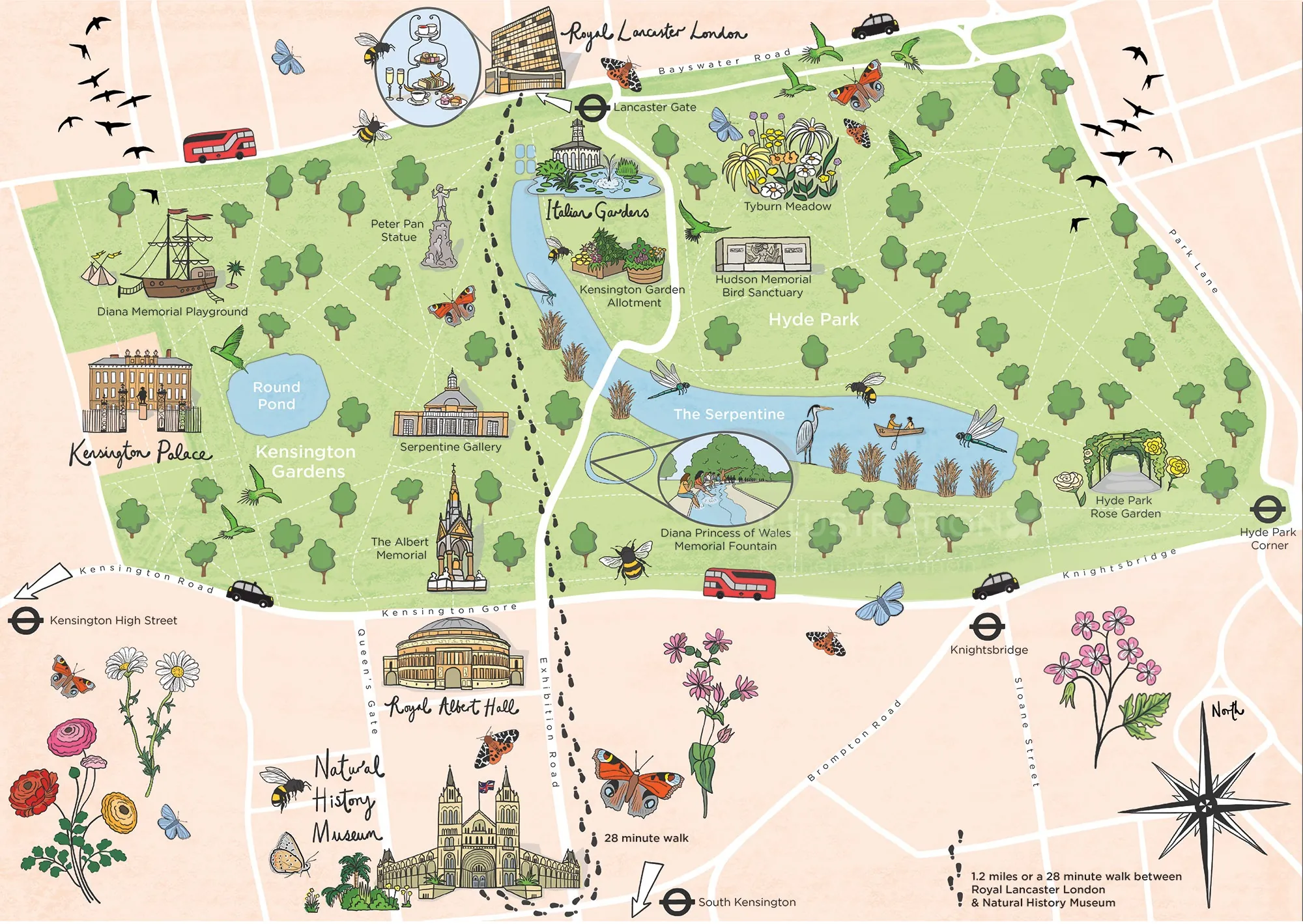 Carte illustrée de Hyde Park par Katherine Kannon montrant les points de repère et la nature