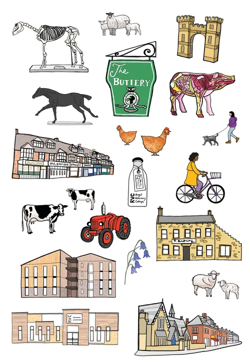 Collage illustré d'animaux, de bâtiments et d'un cycliste par Katherine Kannon