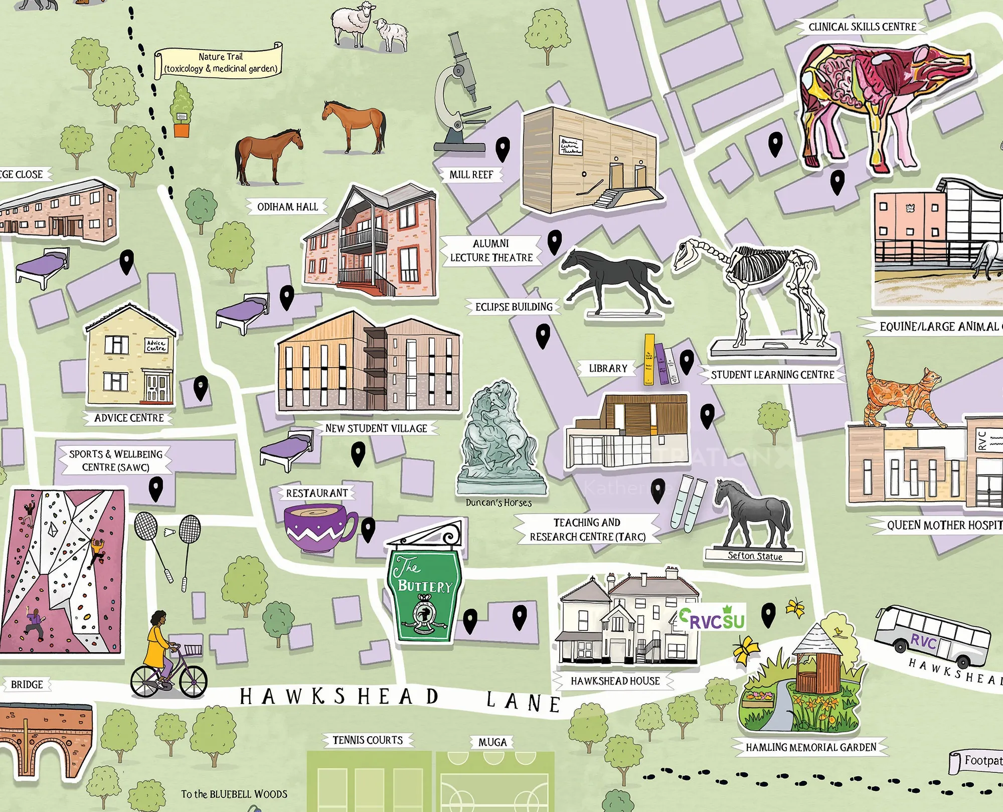 Carte illustrée du village de Hawkshead par Katherine Kannon, avec rues, points de repère, cottages et campagne.