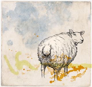 Dessin de mouton noir par Kathryn Rathke