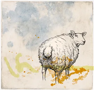 Black sheep drawing by Kathryn Rathke