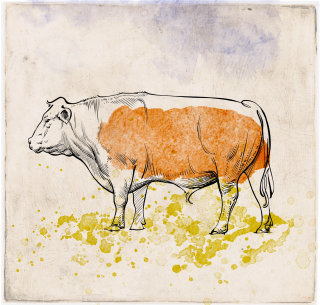 Ilustración de toro con manchas rojas de pie