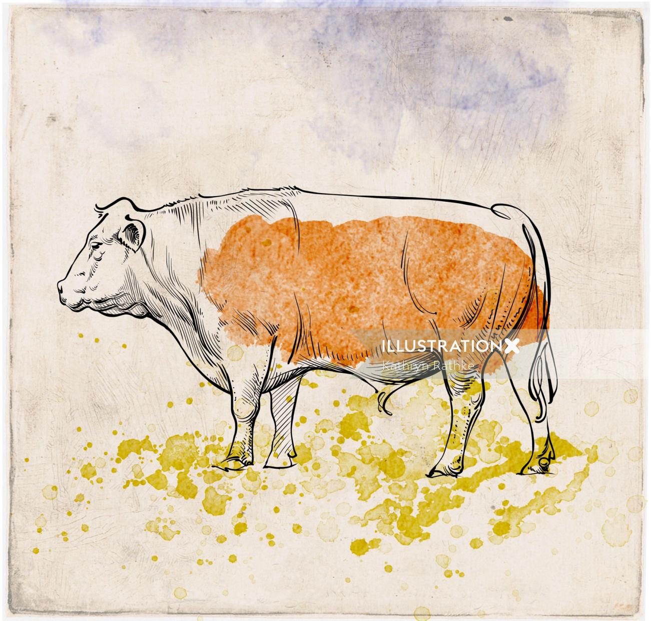 Standing red-spotted bull illustration