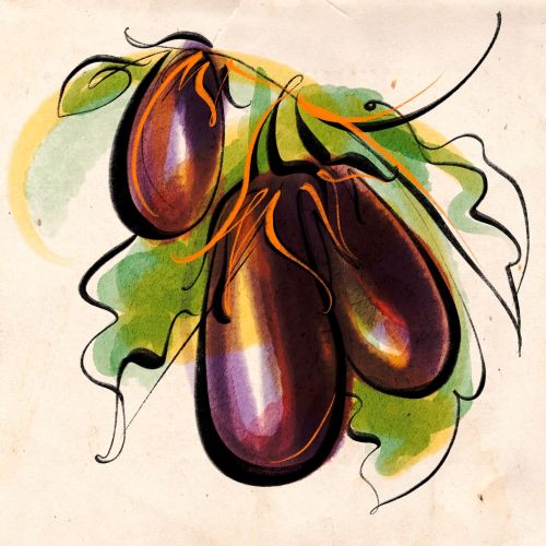 Line and color portrait of eggplants