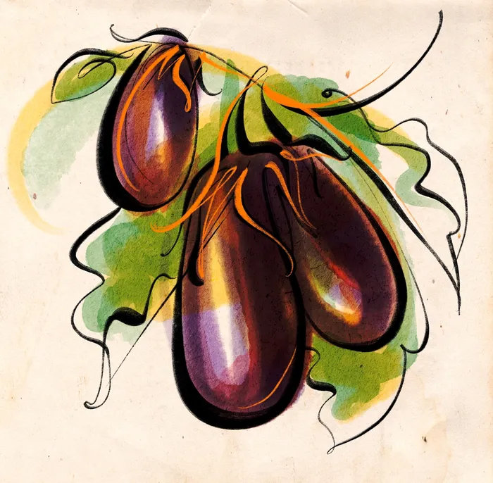 Line and color portrait of eggplants