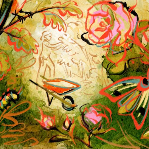 Kathryn Rathke International line illustrator. Seattle