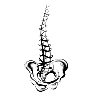 Ilustración médica de la columna vertebral