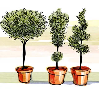 Painting of shrub plants