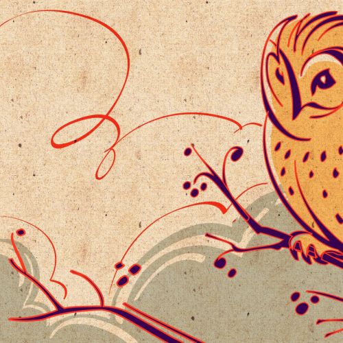 Owl logo design by Kathryn Rathke illustrator