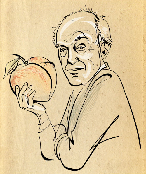Roald Dahl Portrait
