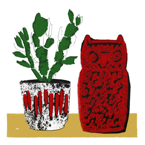 猫头鹰和盆栽植物的复古插图