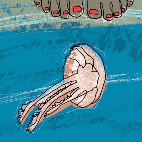 Jellyfish & Feet Illustration For Simple Things Magazine