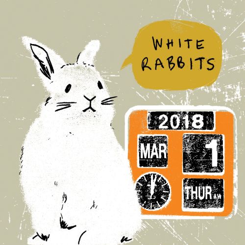 Animal illustration of white rabbit