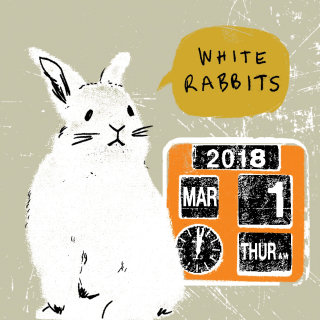 Ilustración animal de conejo blanco.
