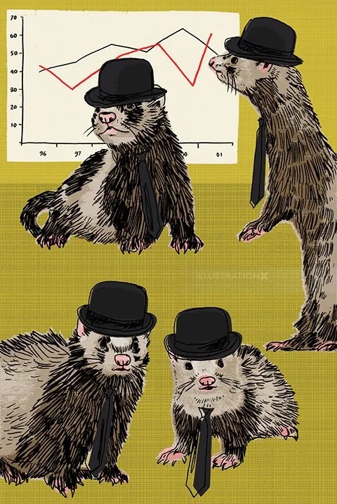 Four ferrets wearing bowler hats with a line graph in the background by Kavel Rafferty