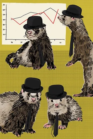 Four ferrets wearing bowler hats with a line graph in the background by Kavel Rafferty