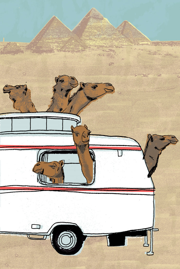 卡车绘画中的动物骆驼