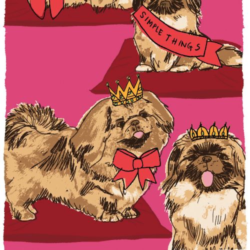 Four small dogs wearing crowns and bows on a pink background by Kavel Rafferty
