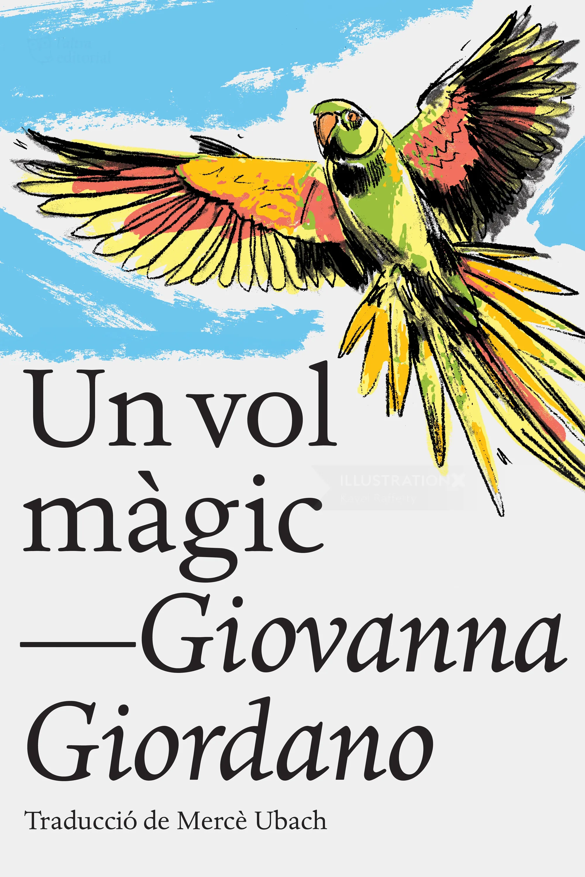 Colorful parrot flying with outspread wings, book cover illustration by Kavel Rafferty