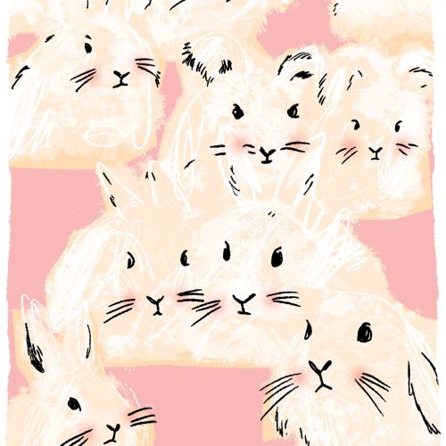 White guinea pigs on pink background illustration by Kavel Rafferty