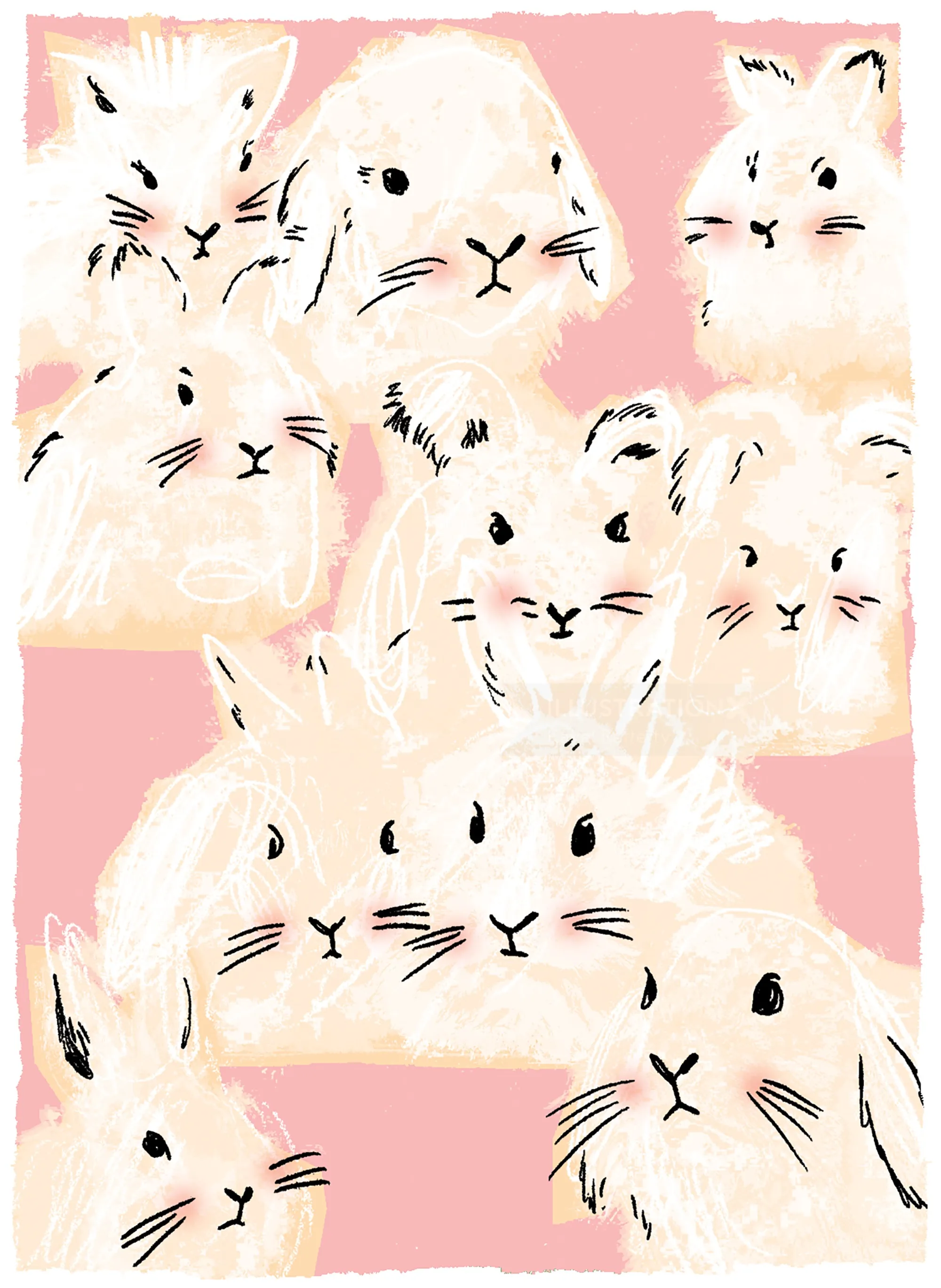 White guinea pigs on pink background illustration by Kavel Rafferty