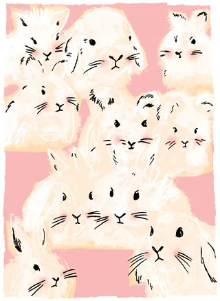 White guinea pigs on pink background illustration by Kavel Rafferty