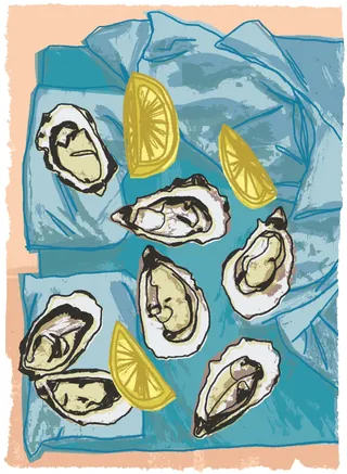 Depiction of a Bed Of Oysters