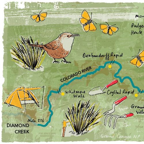 Illustration of a Grand Canyon map