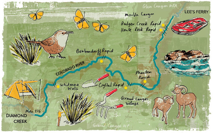 Ilustração de um mapa do Grand Canyon